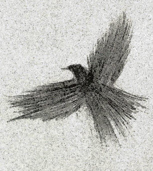 crow.jpeg